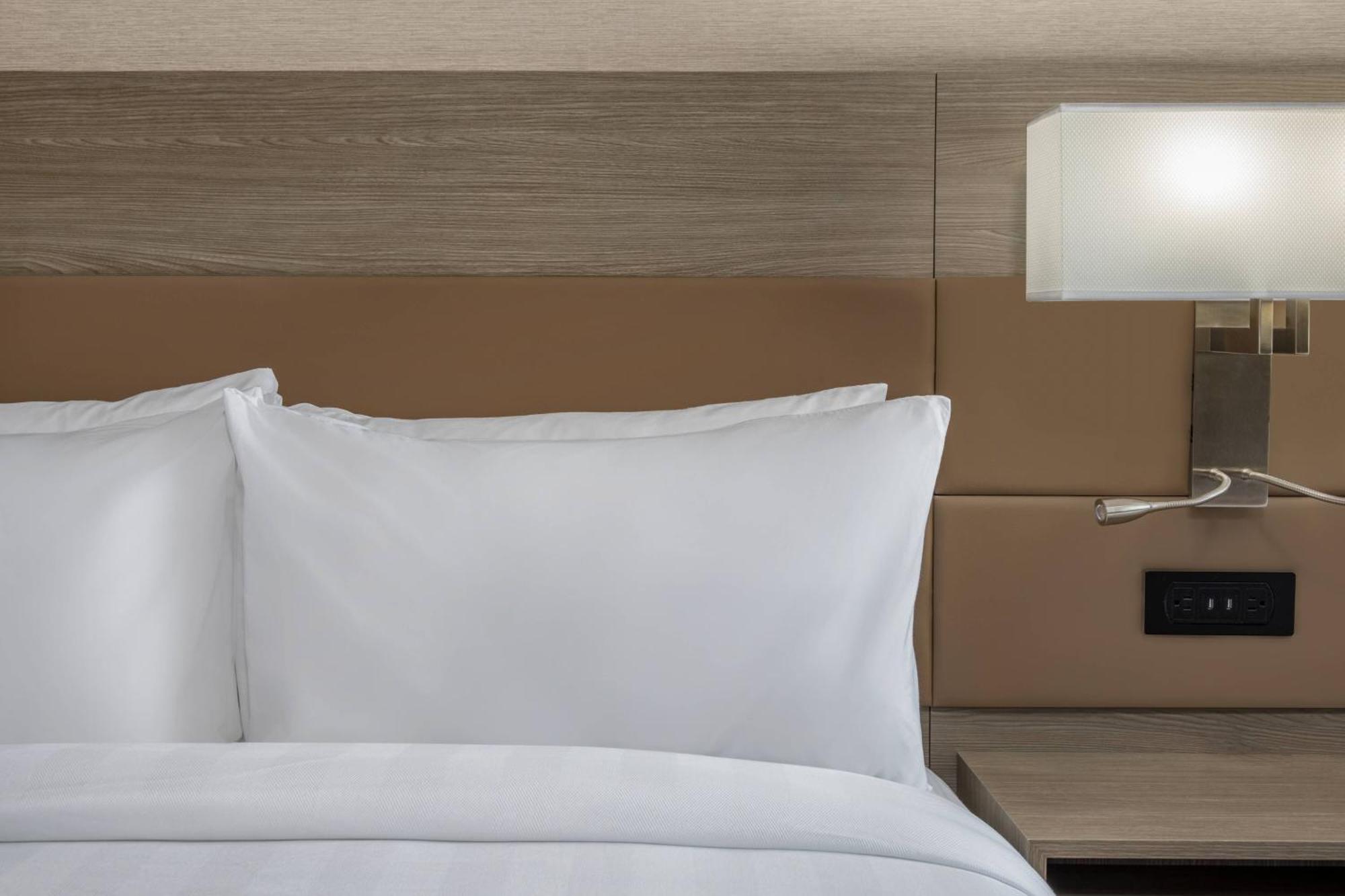 King Room Sofa Bed