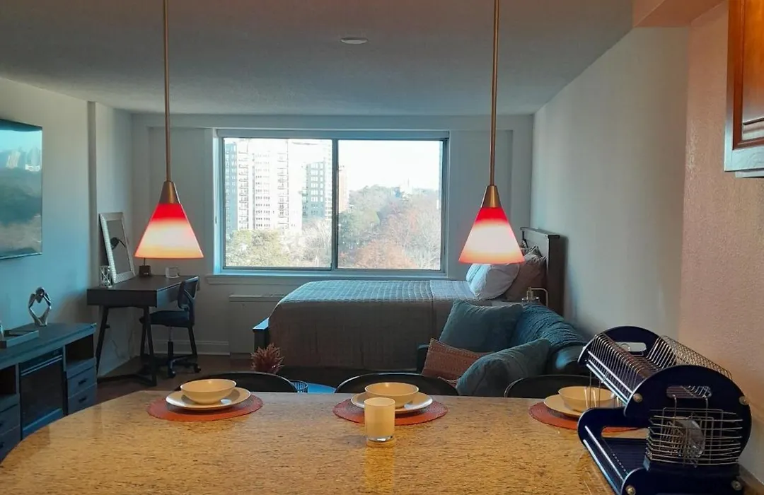 Luxury Fully Furnished Studio Condo-1