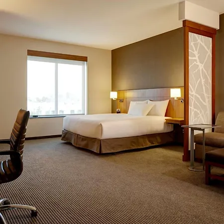 Hyatt Place Atlanta Downtown-3