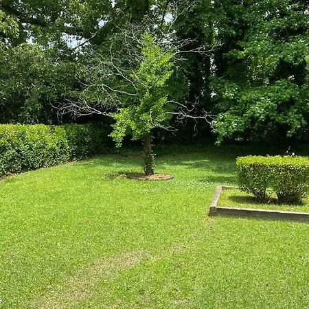 Comfy 2Br Home Near Atl Airport With Large Yard-3