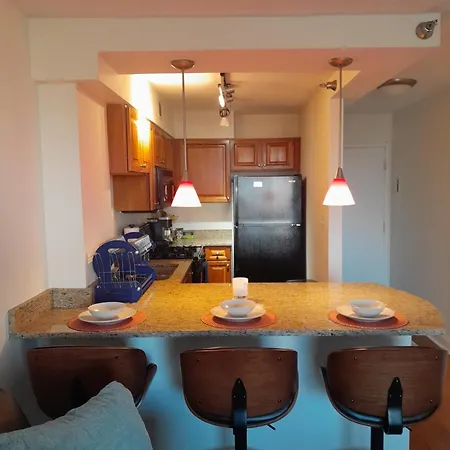 Luxury Fully Furnished Studio Condo-2